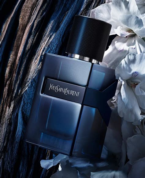 www fragrantica com ysl|YSL y elixir.